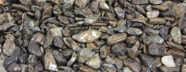 Bronzit